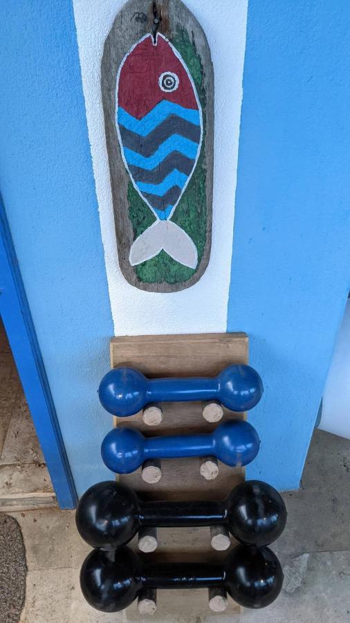 Casa Azul Do Piauí *